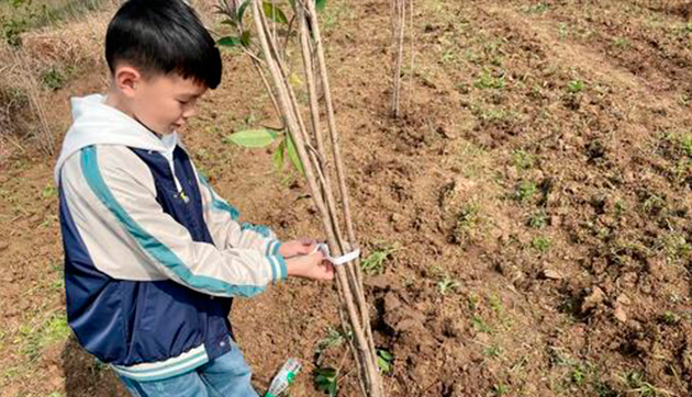 德艺南校小学部开展植树节活动