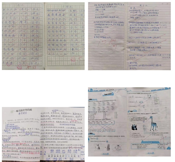 晒作业 树榜样——记小学部优秀作业展活动