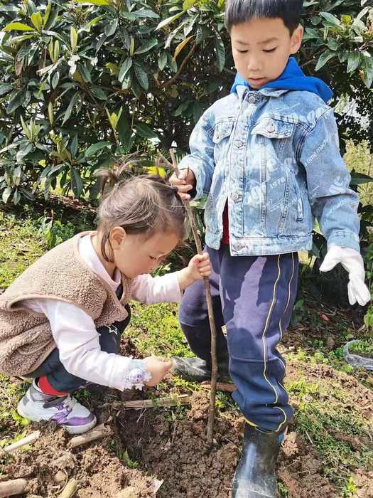 德艺南校小学部开展植树节活动